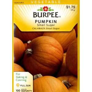  Burpee 60819 Pumpkin Small Sugar Seed Packet Patio, Lawn 
