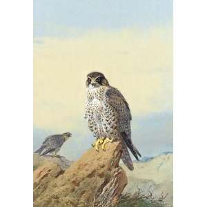 Hand Made Oil Reproduction   Archibald Thorburn   24 x 36 inches   Gyr 
