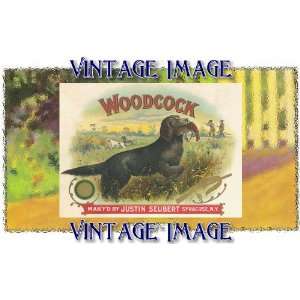   5cm) Acrylic Fridge Magnet Dogs Woodcock Vintage Image