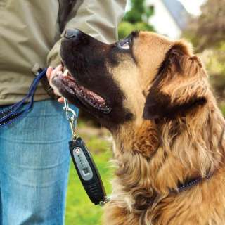 DOG e Walk Premium Dog Trainers   PatentoPet Premium Trainer