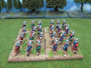 15mm Ancient DBMM DPS painted Medieval Army ME100  