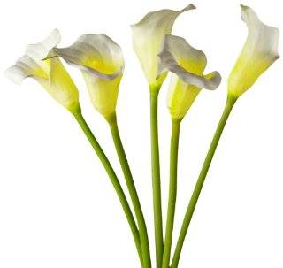   Everlasting Glow 31 Inch Battery Operated White Calla Lily, 5 Blossoms