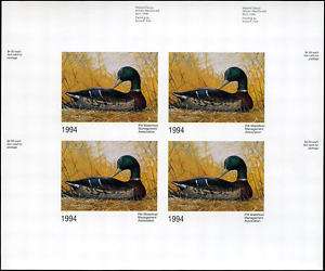 1994 Pitt Waterfowl Mallard Duck Decoy by W MacDonald  