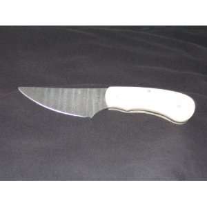  Small Skinner Knife, Ivory Mammoth Handle, Devin Thomas 
