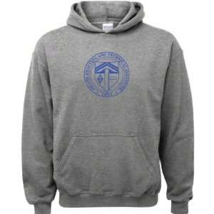   Institute Sport Grey Youth Logo Hooded Sweatshirt