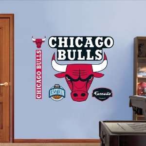  Chicago Bulls Logo Wall Decal