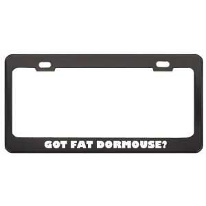 Got Fat Dormouse? Animals Pets Black Metal License Plate Frame Holder 