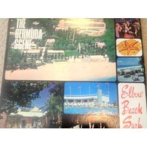    The Bermuda Scene Elbow Beach Club Vinyl LP 
