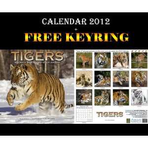  Tigers Calendar 2012 + Free Keyring AVONSIDE Books