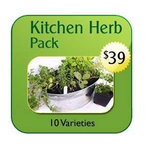  Kitchen Herb Pack   Non Hybrid Seeds Patio, Lawn & Garden
