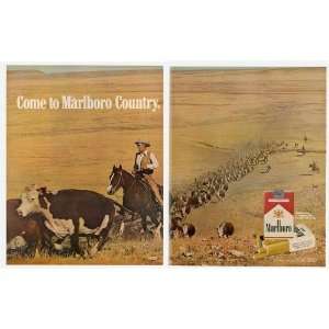   Marlboro Country Cattle Herding 2 Page Print Ad (4030)