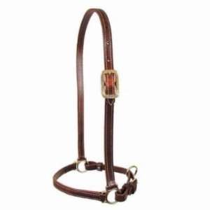  Walsh Grooming Leather Halter Horse