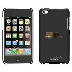  Persian Sitting on iPod Touch 4 Gumdrop Air Shell Case 
