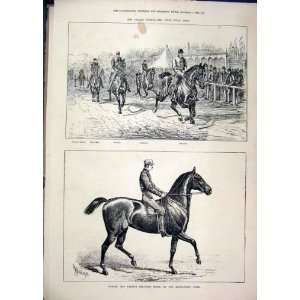   1877 Palace Stakes Norah Trotting Mare Alexandra Park