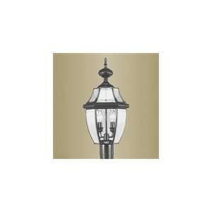   60w Cand   Outdoor Light   Black / Clear Beveled