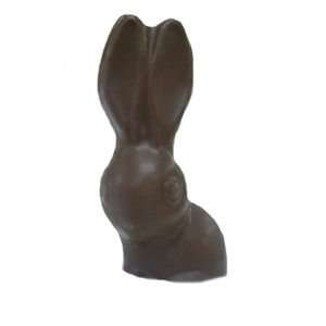 Liz Solid Chocolate Easter Bunny  Grocery & Gourmet Food