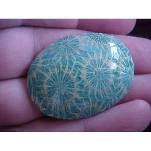   Green Coral Fossil Agate Oval Cabochon Beautiful  