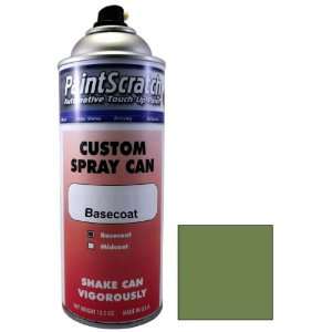   Touch Up Paint for 2001 Suzuki Swift (color code Z4F) and Clearcoat