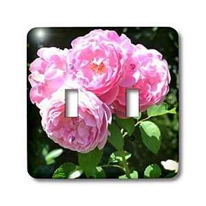   Pink Roses Flowers   Light Switch Covers   double toggle switch Home