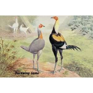  Duckwing Game (Chickens) by Unknown 18x12 Toys & Games