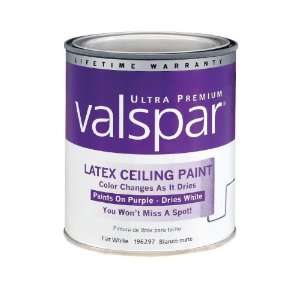   Finish Color Changing Ceiling Paint 007.0196297.005