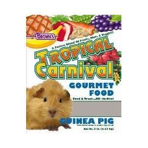   Sons Trpcal Crnval Food Guinea Pigs 5 Pounds   44703