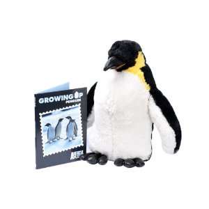    Animal Planet Growing up Penguin Stuffed Toy with DVD Toys & Games
