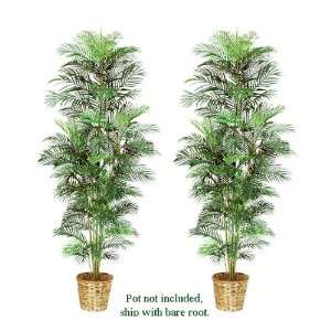  TWO 8 Artificial Areca Palm Trees, with No Pot,