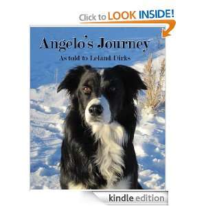 Angelos Journey A Border Collies Quest for Home Angelo Dirks 
