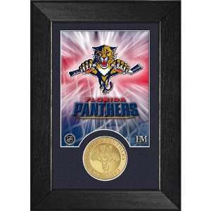    BSS   Florida Panthers Bronze Coin Team Mini Mint 