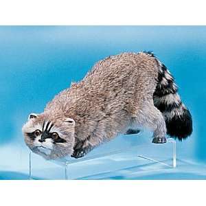  Raccoon Sneaking Decoration Figure Lifelike Model Figurine 