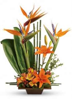 Telefloras Exotic Grace T77 1A   Fresh Flower Delivery  