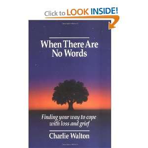   Are No Words Finding Your Way to Cope with Loss and Grief [Paperback