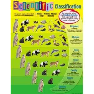  Scientific Classification Chartlet Toys & Games