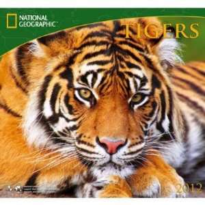    Tigers National Geographic Wall Calendar 2012