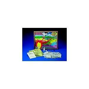  The Rock Cycle Study Kit Toys & Games