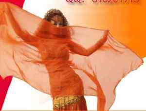 Belly Dance Chiffon Veil Shawl with Gold Trim Orange  