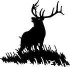 Large Elk Bull Decal ST #1 Wildlife Hunting 6 Stickers