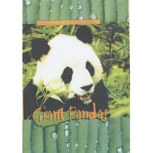 Animals of the Rainforest Giant Pandas (Animals of the 