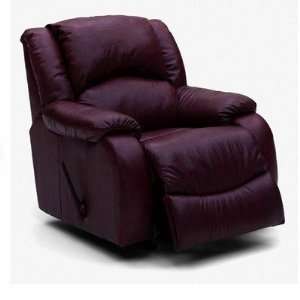   Furniture 4106635 / 4106631 Dane Leather Wallhugger Recliner Baby