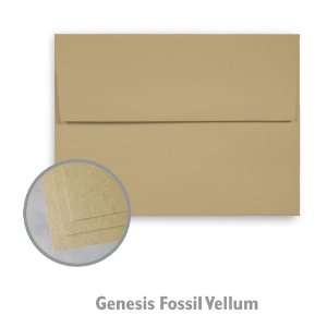  Genesis Fossil Envelope   250/Box