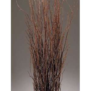 Decorative Birch Branches For Sale 