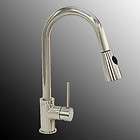 FREUER 16 Brushed Nickel Stainless Kitchen Sink Pull Out Spray Bar 