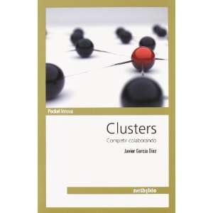  CLUSTERS (9788497455725) JAVIER GARCIA DIEZ Books