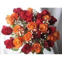 24 Fresh Cut Red and Orange Roses  