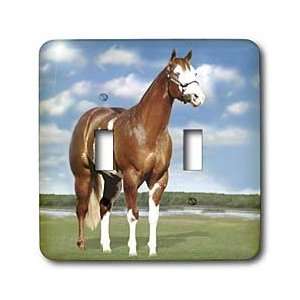  Horse   Champion Paint Quarter Horse   Light Switch Covers 