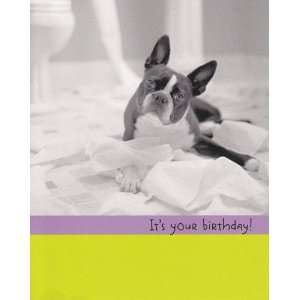  Greeting Cards   Birthday   Happy Birthday Its your 