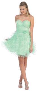 Pretty Hot Short Cocktail Prom Dress Winter Party Dance Formal 