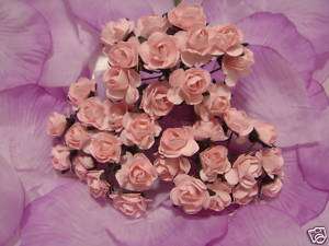 144 PINK Paper Rose Wedding Flowers Favor Decorate NEW  