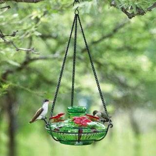 Parasol BLOOMPG Bloom Perch Hummingbird Feeder Green